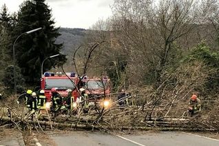 Die Ahrweiler Feuerwehr rückte mehrfach aus, um Sturmschäden zu beseitigen. Foto: Feuerwehr Ahrweiler