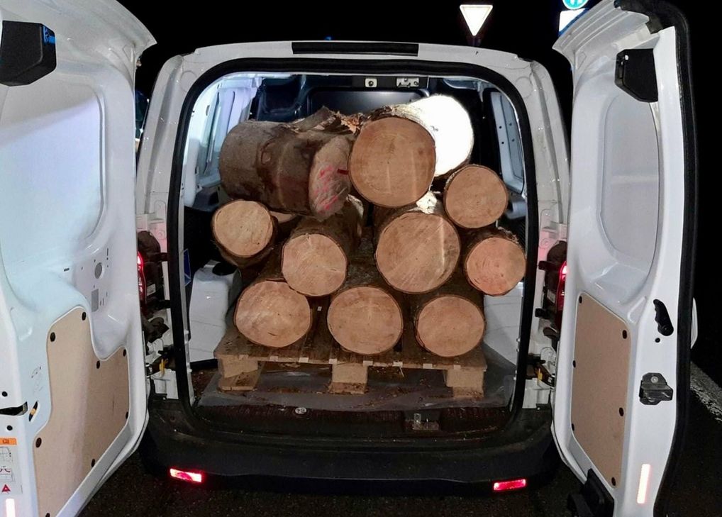 In diesem Transporter sollte das Holz weggebracht werden.