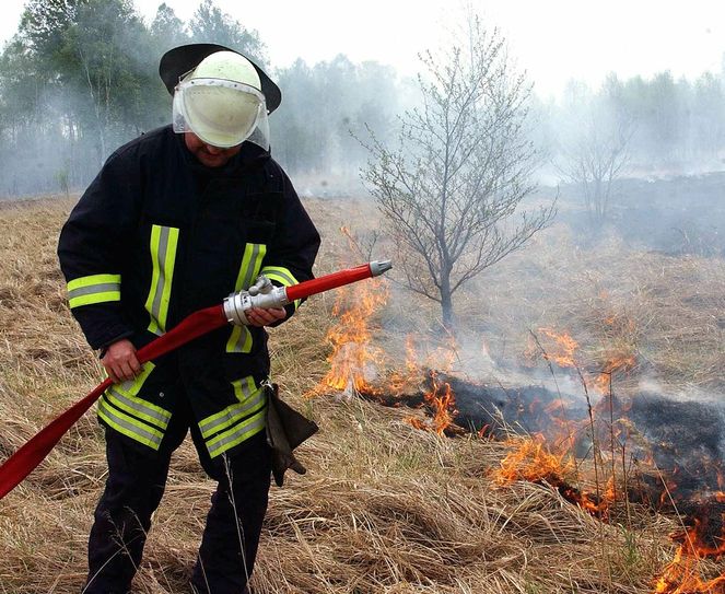 Je länger die trocken-warme Witterung währt, umso größer wird auch die Waldbrand-Gefahr