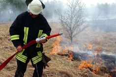 Je länger die trocken-warme Witterung währt, umso größer wird auch die Waldbrand-Gefahr