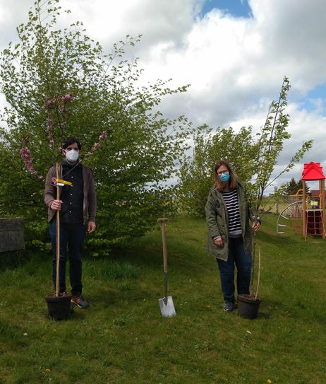 Im Kirchwalder Kindergarten "Mäuseturm" stehen jetzt auch ein Apfel- und ein Birnbaum.