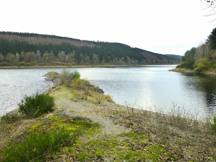 Ein kleiner Pfad führt vom Seerundweg auf diese Halbinsel. Fotos: NaturAktivErleben