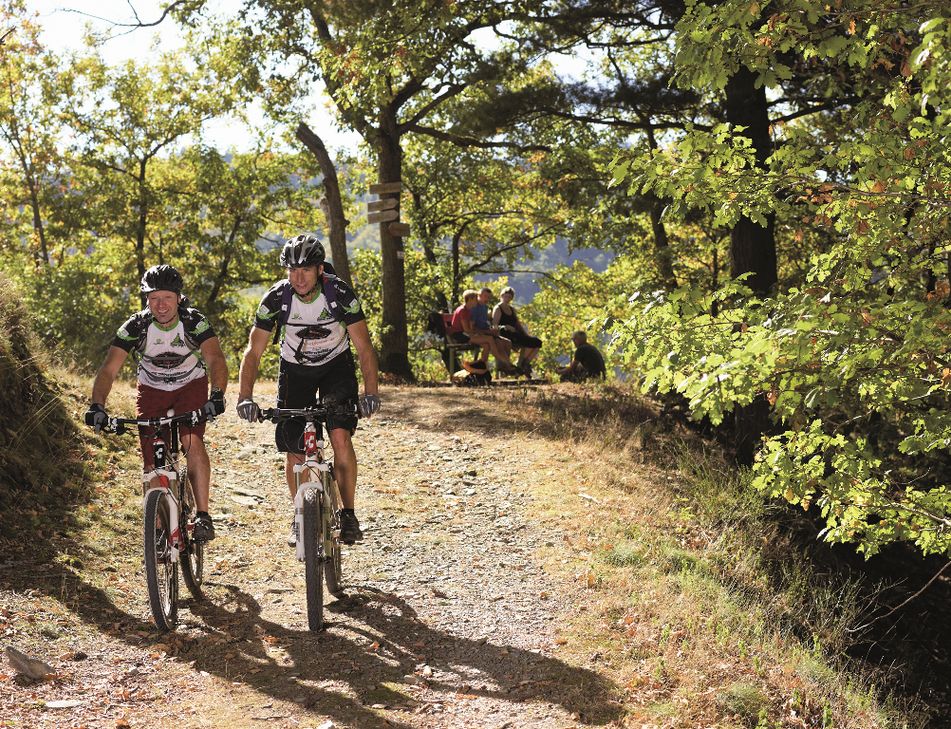 Für die gute Sache in die Pedale steigen. Foto: C. Arnoldi