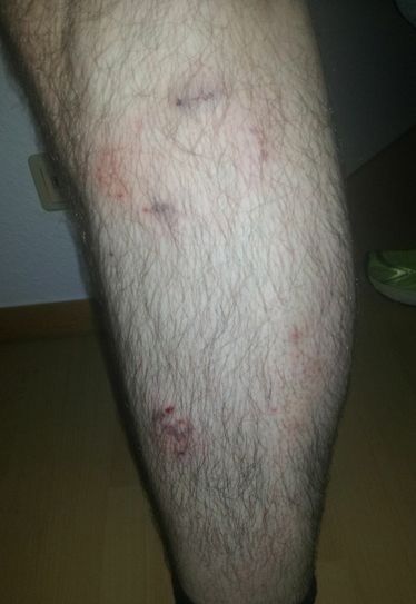 Ärger will er keinen in seinem Wohnort Gutweiler, aber auf Halter-Pflichten aufmerksam machen. Foto: Arens