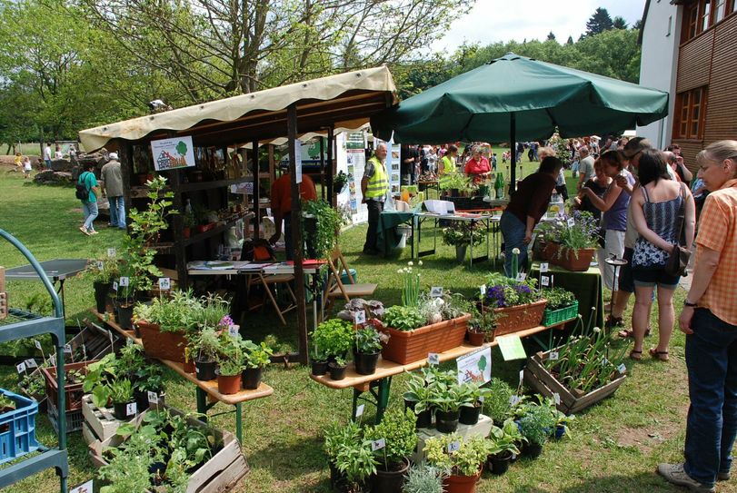 Viele Stände beschäftigen sich in Nettersheim und Bad Münstereifel mit den Kräutern.