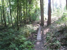 Idyllischer Pfad entlang des Eulenbachs.