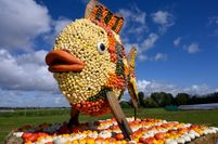 Viele bunte "Kürbistiere" wie dieser Fisch sorgten für ein besonderes Ambiente.