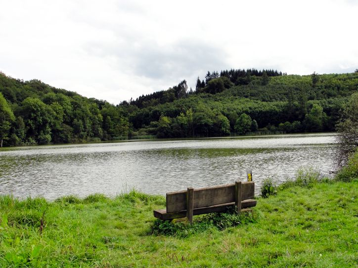 Der Wandervorschlag führt zu vier Maaren. Foto: Natur Aktiv Erleben