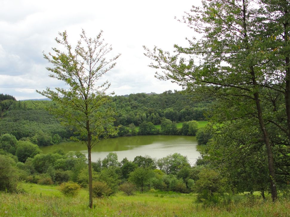 Der Wandervorschlag führt zu vier Maaren. Foto: Natur Aktiv Erleben