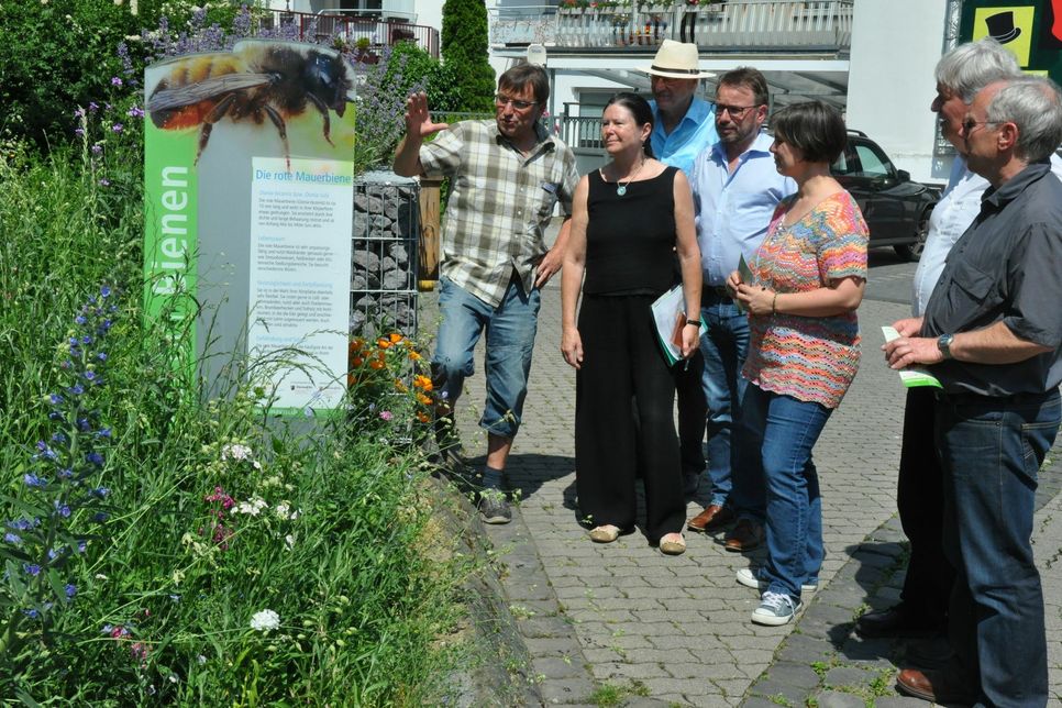 Stadtgärtner Wolfgang Seul erklärt Umweltministerin Ulrike Höfken das "Bunte Band" durch die Stadt Mayen.