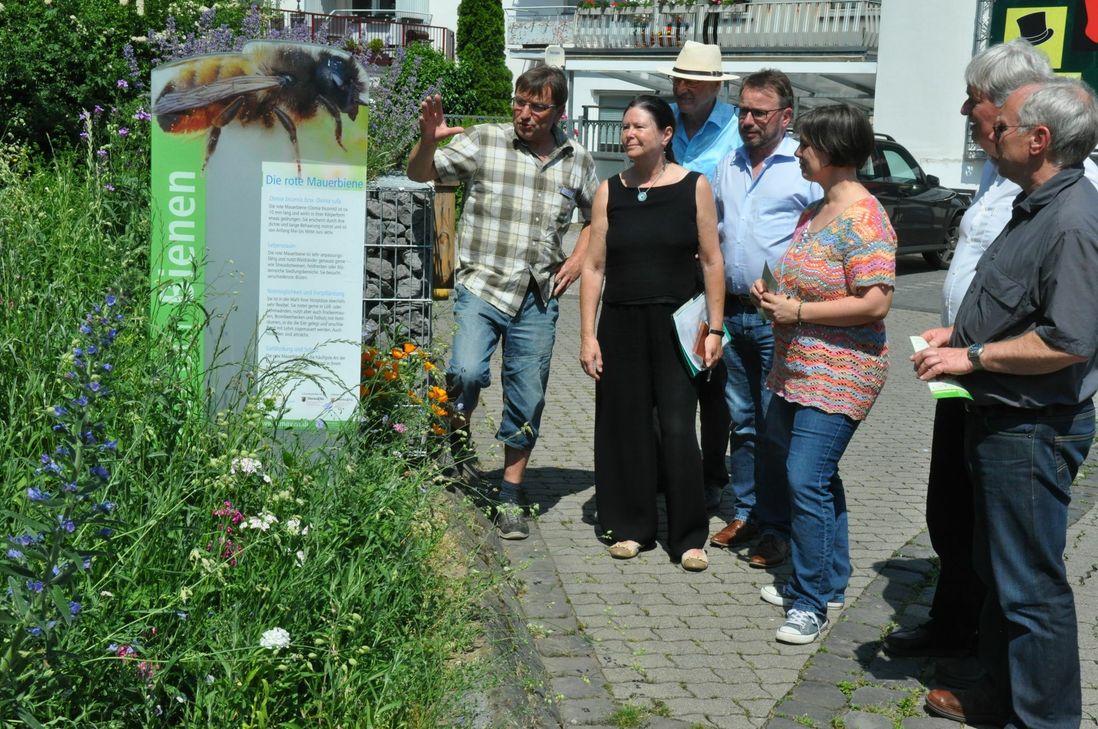 Stadtgärtner Wolfgang Seul erklärt Umweltministerin Ulrike Höfken das "Bunte Band" durch die Stadt Mayen.