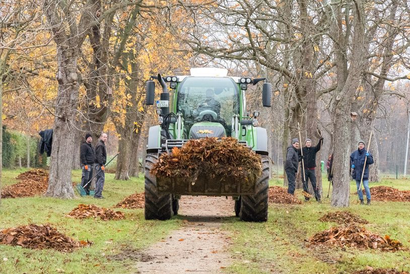 Mit großem Gerät und viel Muskelkraft wird alljährlich das Laub in der Wachendorfer Kastanienallee eingesammelt.
