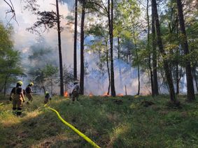 Anfang dieser Woche hat es im östlichen Kermeter im Nationalpark Eifel gebrannt, mutmaßlich durch ein illegales Lagerfeuer verursacht. Ein Großaufgebot von 150 Einsatzkräften umliegender Feuerwehren konnten den zirka 1,6 Hektar großen Brand löschen. Die aktuelle Situation im Nationalparkwald bleibt wie in allen Wäldern brandgefährlich: Alle Nationalpark-Gäste sollten unter keinen Umständen rauchen oder ein Feuer anmachen. Ein Funke genügt.