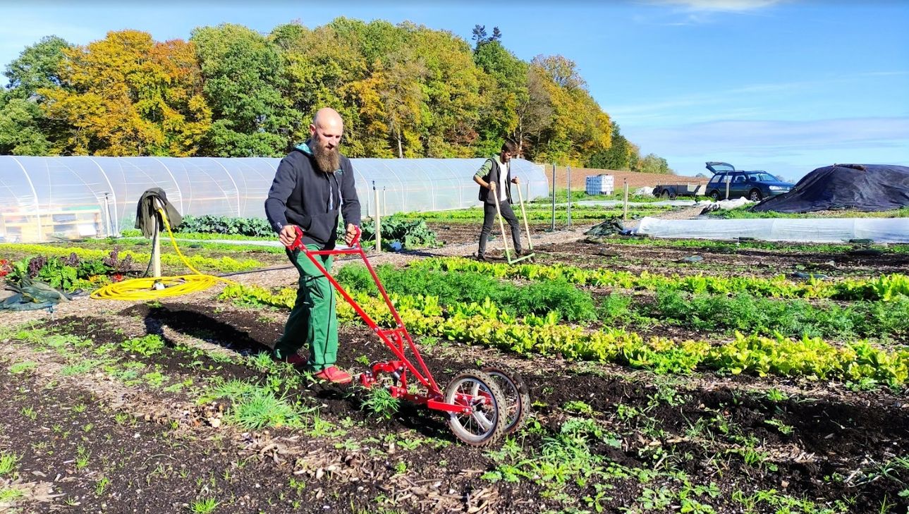 In Ormont wird unter dem Motto "Anders ackern" frisches Gemüse angebaut.