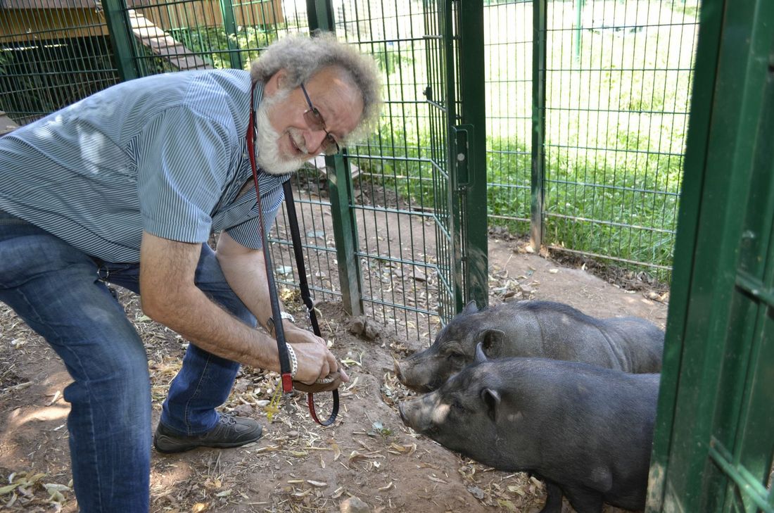 Rainer Bauer und die beiden Hängebauchschweine, die - wie so viele andere Tiere - im Tierheim Zuflucht gefunden haben. mn-Fotos