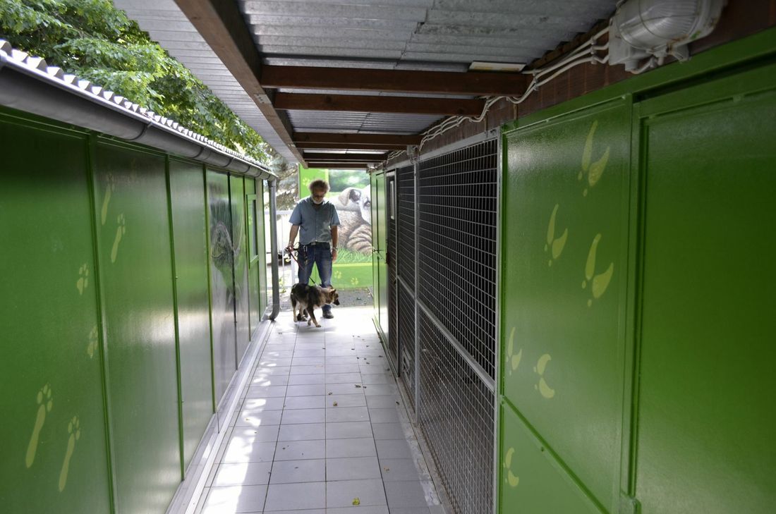 Ein neues Hundehaus ist der Traum der Tierschützer im Jubiläumsjahr.