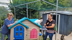 Die Mitarbeiterinnen des Tierheims Oberstmuhl sind happy: Sie haben beim Nachhaltigkeitswetbewerb des WochenSpiegel den ersten Preis gewonnen.
