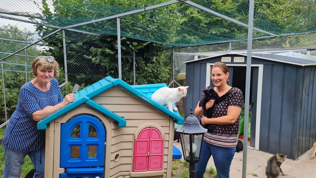 Die Mitarbeiterinnen des Tierheims Oberstmuhl sind happy: Sie haben beim Nachhaltigkeitswetbewerb des WochenSpiegel den ersten Preis gewonnen.