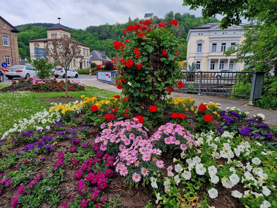 Der Frühling ist da: An zwölf Standorten sorgt der Bauhof derzeit in Kirn für bunte Bepflanzung. Viel Lob gibt's besonders für die Kreisel-Gestaltung.