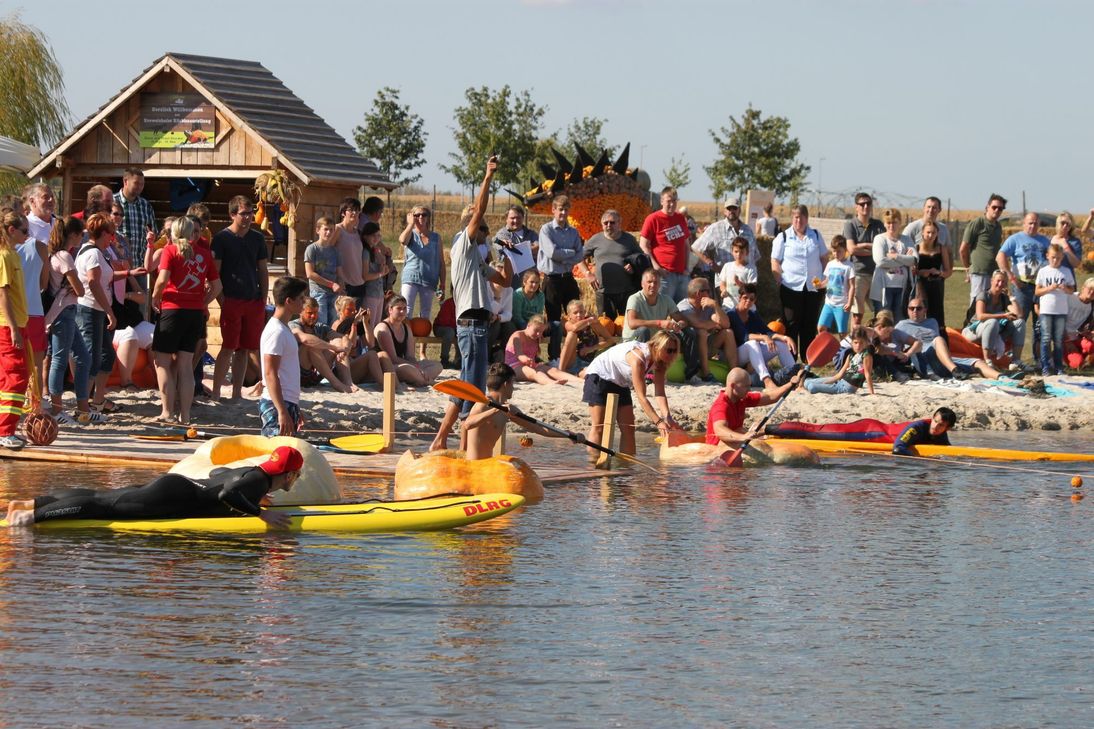 Bei der Krewelshofer Kürbisboot-Regatta paddeln Kanuten am Mittwoch, 03. Oktober ab 12:00 Uhr in ausgehöhlten Kürbissen auf dem hofeigenen See um die Wette.