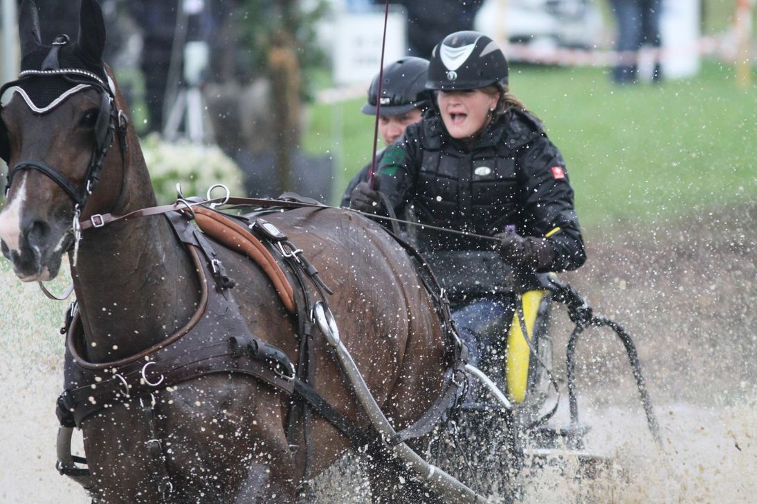 Einspänner am Wasserhindernis.
