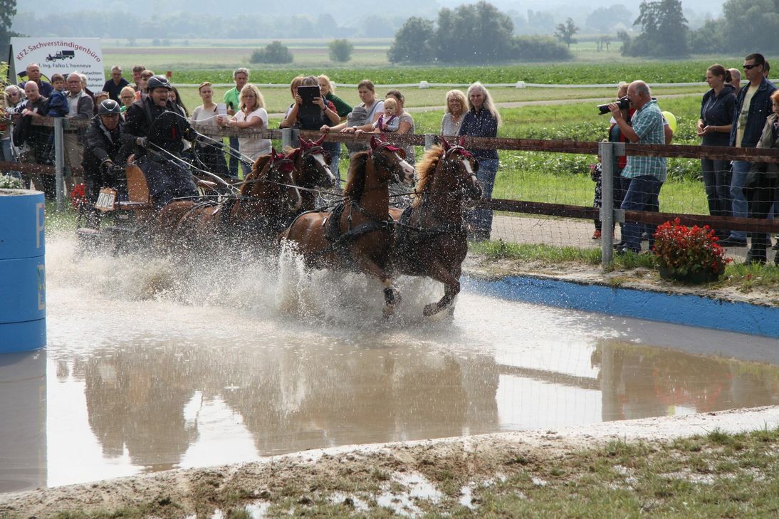 Viererzug im am Wasserhindernis.