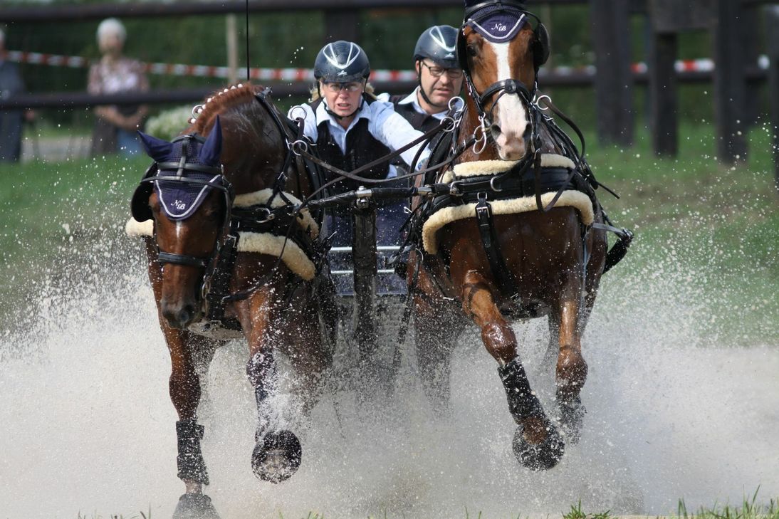 Zweispänner am Wasserhindernis.