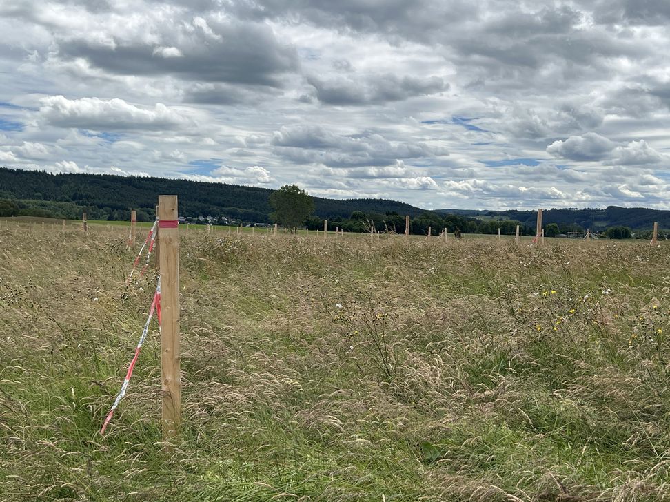 Der Spatenstich muss warten: Der Neubau des geplanten Rohrzugkompetenzzentrums in Kall wurde vom Unternehmen Schöller auf Eis gelegt.