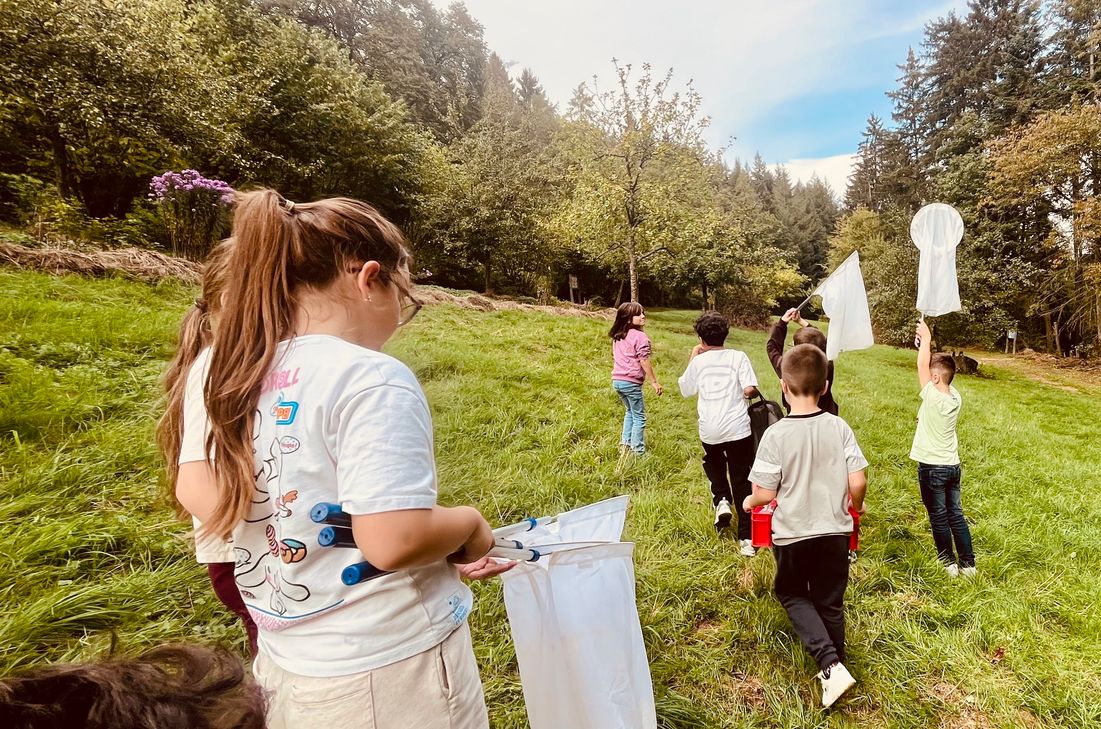 Grundschulkinder entdecken die Streuobstwiesen im Prümer Land als Lern- und Forschungsort. Beim Projekt verbinden sie Naturbeobachtung, Experimente und MINT-Themen miteinander.
