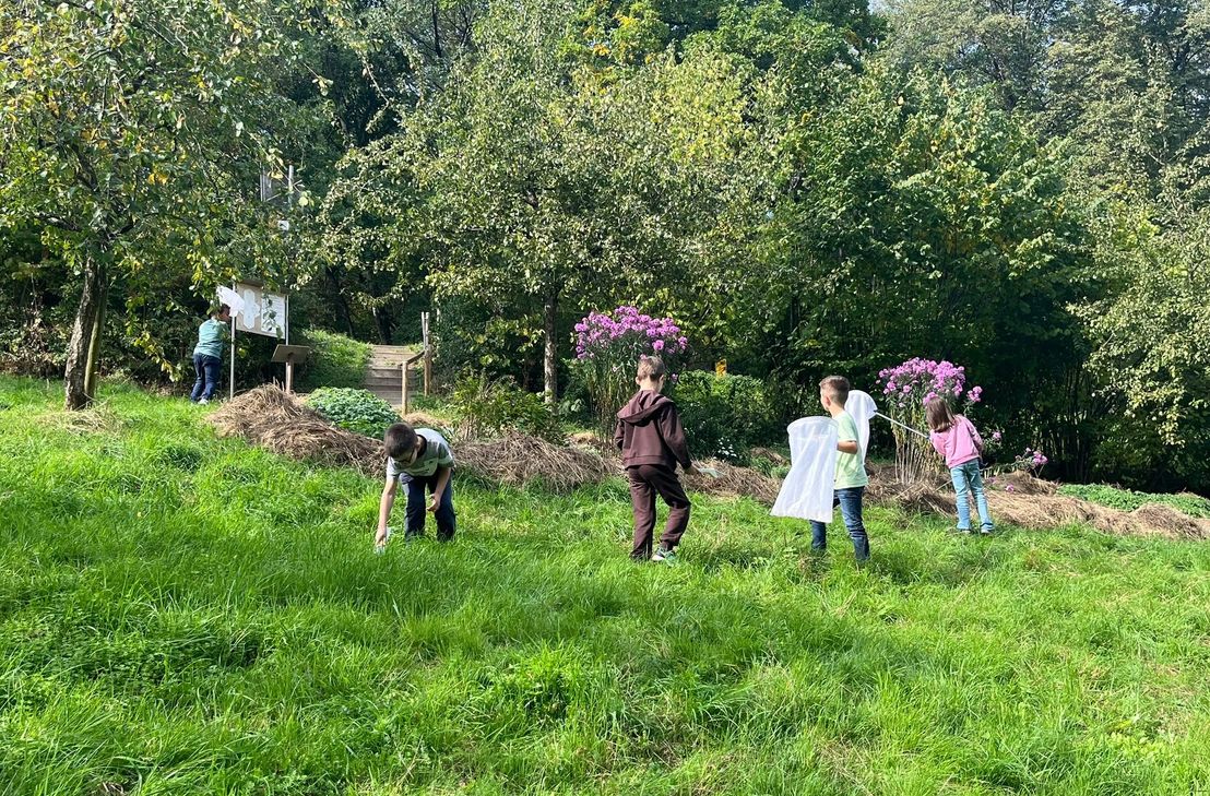 Grundschulkinder entdecken die Streuobstwiesen im Prümer Land als Lern- und Forschungsort. Beim Projekt verbinden sie Naturbeobachtung, Experimente und MINT-Themen miteinander.