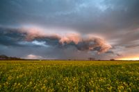 Gewitterfront über Feld