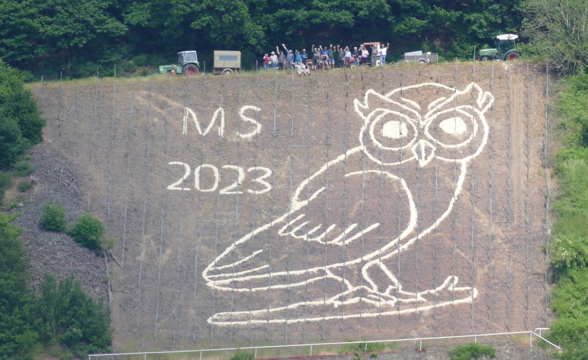 Die Eule stellt die perfekte Metapher für die Krankheit Multiple Sklerose dar.