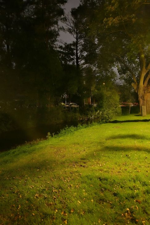 Die Nette im Bereich der Bürresheimer Straße am frühen Morgen.