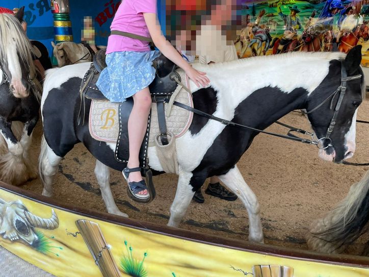 "Sensible Tiere für ein kurzes Kindervergnügen zu missbrauchen, ist unethisch", so die Tierrechtsorganisation.