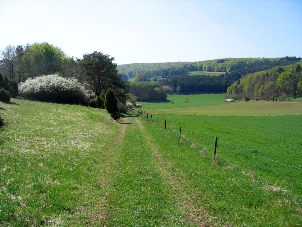Der Weg ins Mirbachtal.