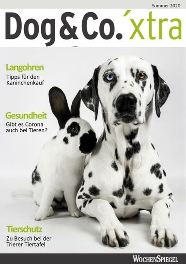 Die Geschichte von Katharina Krebs aus unserer Titelgeschichte sowie viele weitere informative Beiträge rund um unsere geliebten Haustiere - unter anderem auch über Corona bei Tieren - lesen Sie in unserer aktuellen Ausgabe »Dogs & Co.«, das in vielen Auslegestellen erhältlich ist.