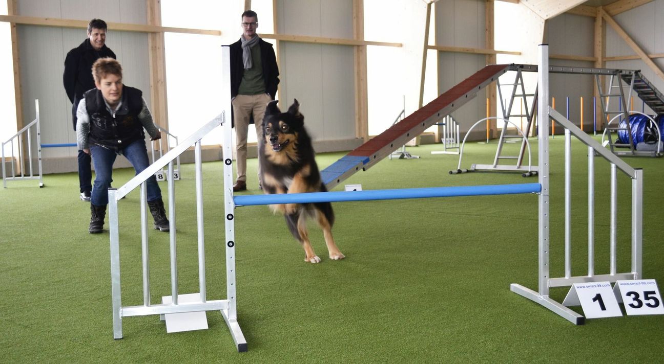 Optimale Trainings- und Wettkampfbedingungen findet in der neuen Schmidtheimer Hundesporthalle nicht nur Soukie. Vom Profi bis zum Anfänger sind Hundehalter mit ihren Vierbeinern willkommen.