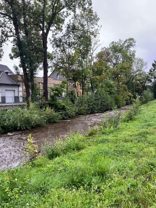 Die Nette im Bereich der Bürresheimer Straße gegen 12.30 Uhr.