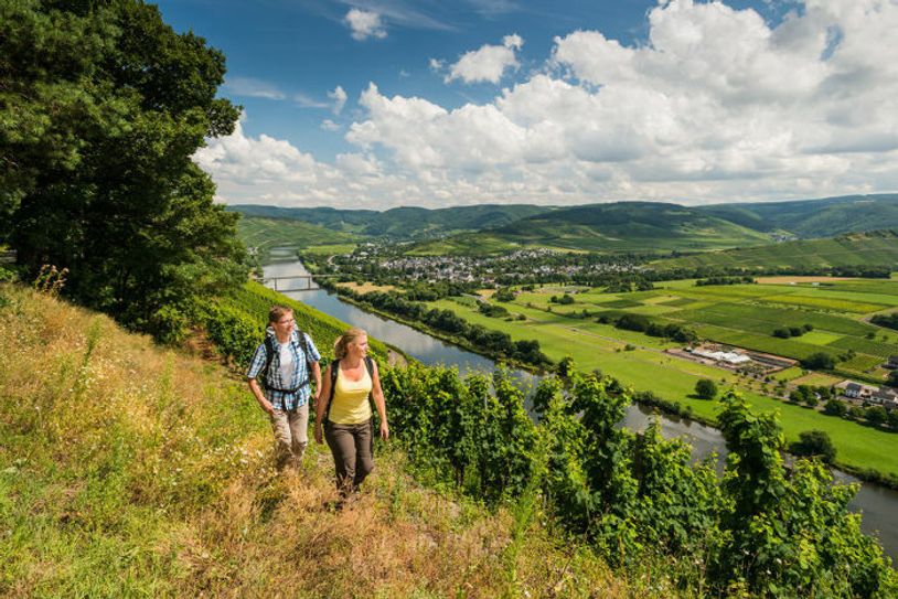 Wer an der Mosel entlang wandert hat nicht nur einen tollen Blick auf den Fluss, sondern auch auf Weinreben. Foto:Dominik Ketz