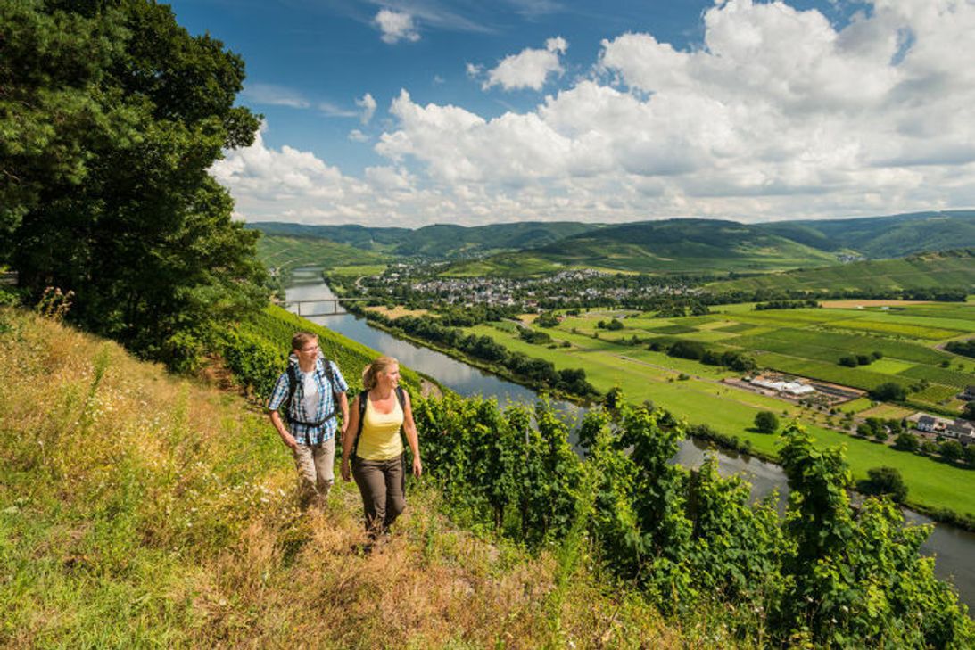 Wer an der Mosel entlang wandert hat nicht nur einen tollen Blick auf den Fluss, sondern auch auf Weinreben. Foto:Dominik Ketz