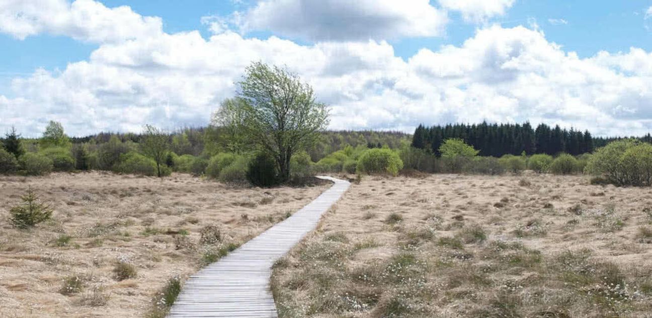 Die Natur beim Wandern wahrnehmen... Foto: www.aufmerksamwandern.de