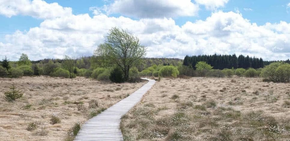 Die Natur beim Wandern wahrnehmen... Foto: www.aufmerksamwandern.de