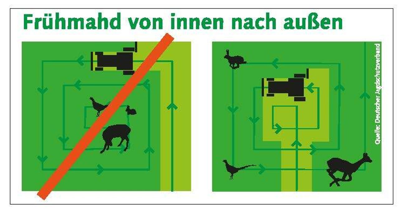 Die richtige Mähtechnik kann das Leben von Wildtieren retten. Quelle: DJV