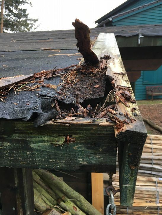 Zerstörungen am Teichmannhaus. Foto: Stadt Bad Münstereifel