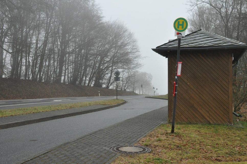 Die Bushaltestelle am Kinderheim St. Martin in Düngenheim soll umgestaltet werden.