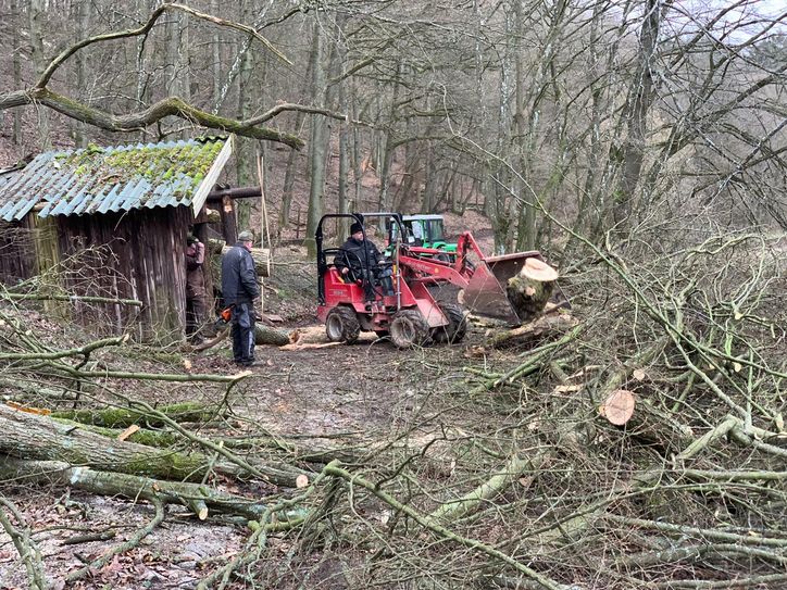Schwer verwüstet wurde der Wildpark in Schmidt. Sturmtief »Sabine« hat Schäden von über 45000 Euro angerichtet. Foto: Privat