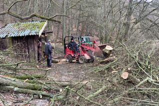 Schwer verwüstet wurde der Wildpark in Schmidt. Sturmtief »Sabine« hat Schäden von über 45000 Euro angerichtet. Foto: Privat