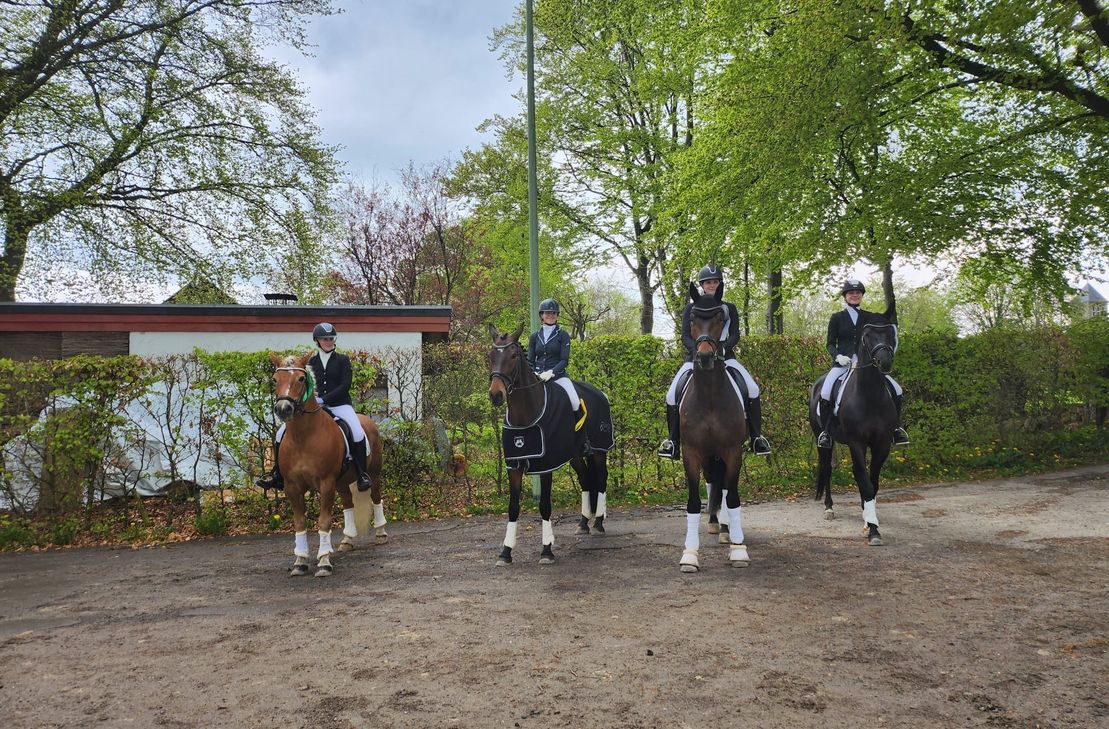 Das Foto zeigt vier junge Reiterinnen, die im vergangenen Jahr auf L-Niveau beim Monschauer-Land-Pokal erfolgreich waren. Foto: Birgit Heck