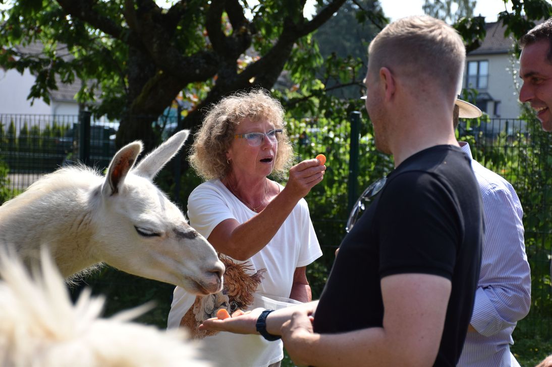 Ute Bieder verteilt "Lockmittel" für ihre Tiere - sie mögen Möhrchen ...