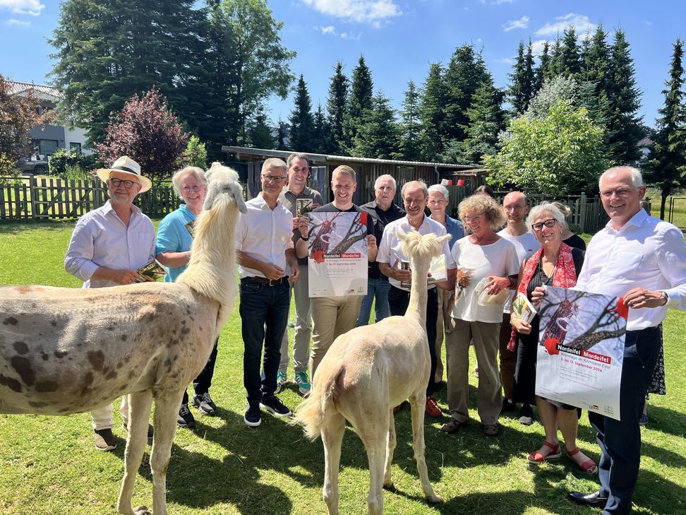 Gruppenbild mit Lams und Alpaka.